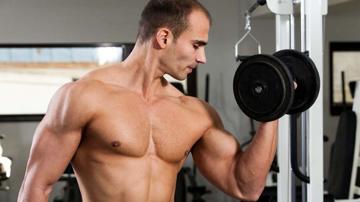 How To Build Muscle